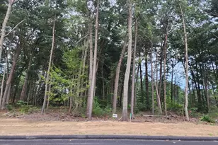 Lot 17 Nathaniel Hill, Westfield, MA 01085 - Photo 1