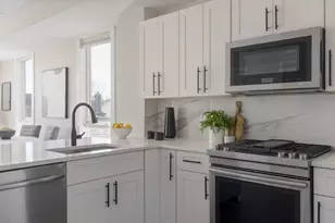 17 Chestnut Ave, Boston, MA 02130 - Photo 1