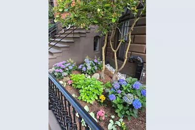 19 Worcester Sq #1, Boston, MA 02118 - Photo 23