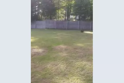 75 Dale Ave, Leominster, MA 01453 - Photo 5