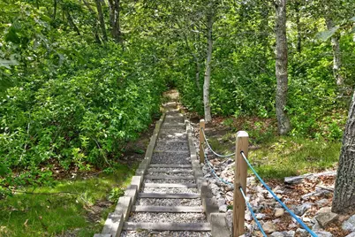 674 Crowells Bog Rd, Brewster, MA 02631 - Photo 41