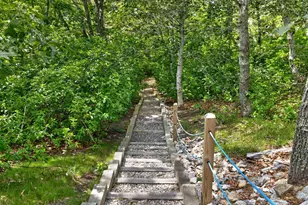 674 Crowells Bog Rd, Brewster, MA 02631 - Photo 41