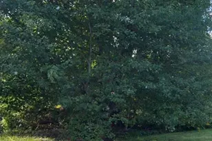 1753 + S East St, Amherst, MA 01002 - Photo 39