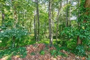 67 Ivy Ln, Northbridge, MA 01588 - Photo 25