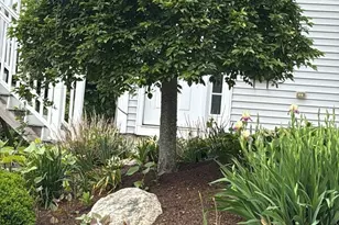 1 Clegg St, Worcester, MA 01603 - Photo 3