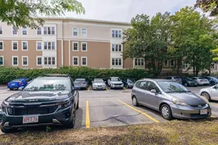 20 Saint Paul, Brookline, MA 02446 - Photo 9