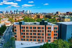 431 Melnea Cass Blvd, Boston, MA 02119 - Photo 5