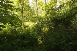0 Old Country Ln, Tisbury, MA 02568 - Photo 1