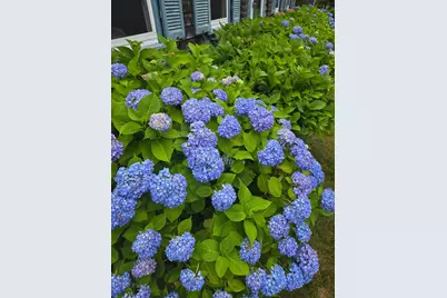 20 Green Way, Yarmouth, MA 02664 - Photo 33