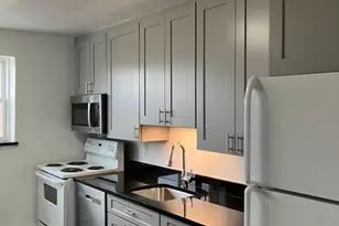 55 Colborne Rd, Boston, MA 02135 - Photo 3