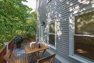 49 Alpine St, Boston, MA 02119 - Photo 13