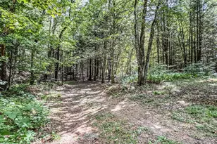 24 Haigis Rd, Bernardston, MA 01337 - Photo 39