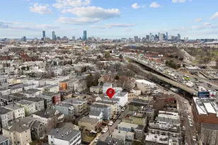 3 Spring Garden St, Boston, MA 02125 - Photo 25