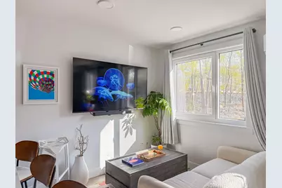 64 Alpine St #103, Boston, MA 02119 - Photo 3