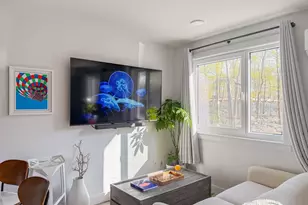 64 Alpine St, Boston, MA 02119 - Photo 3