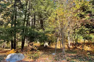 238 Goodman's Hill Rd, Sudbury, MA 01776 - Photo 25