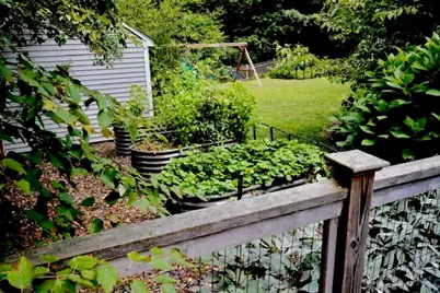 36 Intervale Ter, Reading, MA 01867 - Photo 3