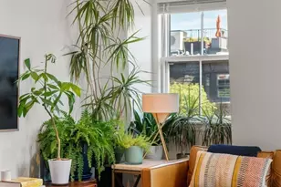 331 Shawmut Ave, Boston, MA 02118 - Photo 9