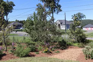 95 Huntington Rd, Hadley, MA 01035 - Photo 7