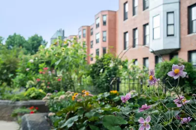 209 W Canton St #3, Boston, MA 02116 - Photo 23