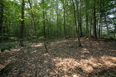 0 Shaw Road, Petersham, MA 01366 - Photo 3