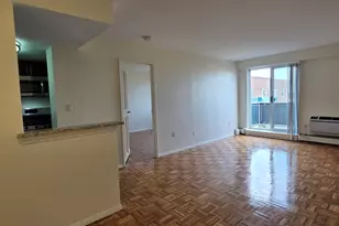 185 Freeman, Brookline, MA 02446 - Photo 21