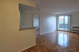 185 Freeman, Brookline, MA 02446 - Photo 1