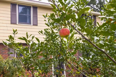 54 Checkerberry Ln, Framingham, MA 01702 - Photo 35