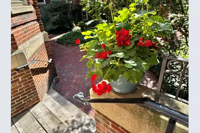 43 Linnaean #2A, Cambridge, MA 02138 - Photo 33