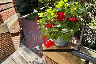 43 Linnaean, Cambridge, MA 02138 - Photo 33