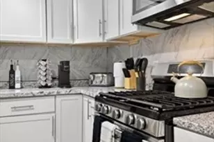 38 Moreland St, Boston, MA 02119 - Photo 7