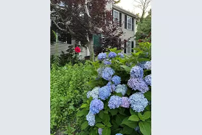 8 Taylor Way, Stoughton, MA 02027 - Photo 37