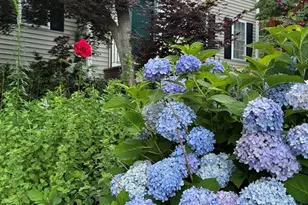 8 Taylor Way, Stoughton, MA 02027 - Photo 37