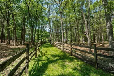 168 Centre St, Dover, MA 02030 - Photo 7