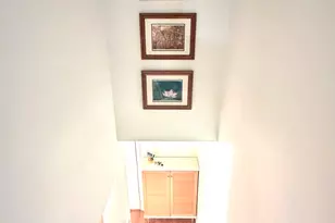 10 Eugene Cir, Boston, MA 02130 - Photo 17