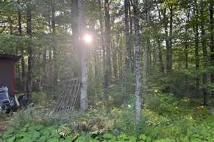 96 West St, Plainfield, MA 01070 - Photo 15
