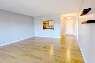 22 Chestnut Pl, Brookline, MA 02445 - Photo 3