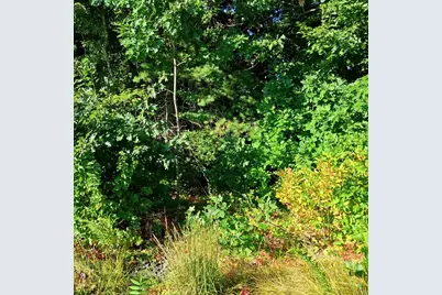 0 N Brookfield Rd, East Brookfield, MA 01515 - Photo 3