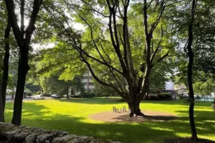 22 Chestnut Pl, Brookline, MA 02445 - Photo 7