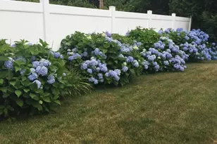 1379 Williams St, Dighton, MA 02715 - Photo 37