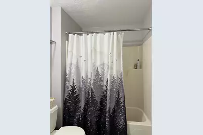 25 Ridlon Rd, Boston, MA 02136 - Photo 19