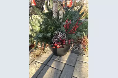 24 Vassar St, Boston, MA 02121 - Photo 3