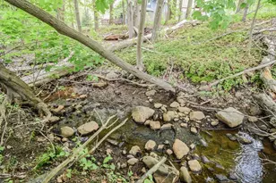 184 Elm St, Andover, MA 01810 - Photo 41