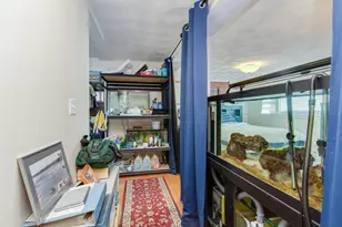 10 Frederick Dr, Wilmington, MA 01887 - Photo 29