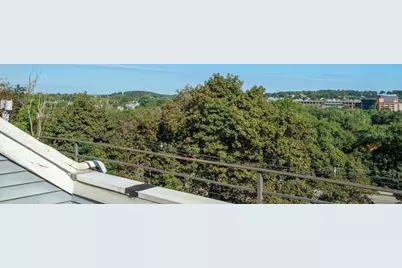 48 Newton St #48, Boston, MA 02135 - Photo 19