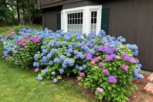 32 Moore Rd, Wayland, MA 01778 - Photo 3