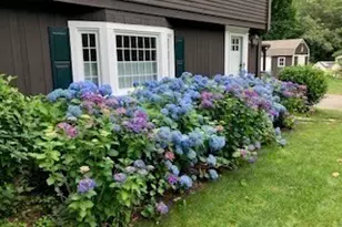 32 Moore Rd, Wayland, MA 01778 - Photo 5