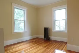 17 Manley St, Boston, MA 02122 - Photo 13