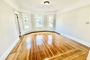 36 Reed Ave, Everett, MA 02149 - Photo 5