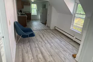 29 Easton Ave, Boston, MA 02136 - Photo 3